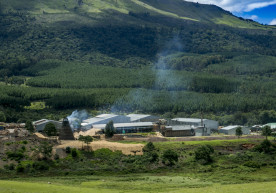 Kubusi Sawmill