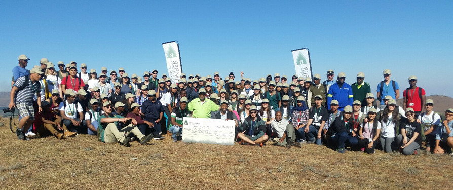 Eastern Cape forestry practices in global spotlight