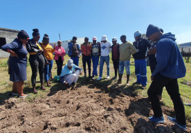 Youth in Agriculture Training - Organic Farming