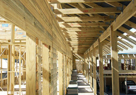 Structural Timber